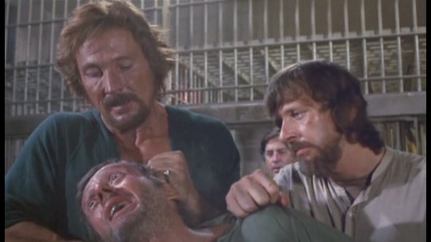 Ultimate-Warrior-Carrot