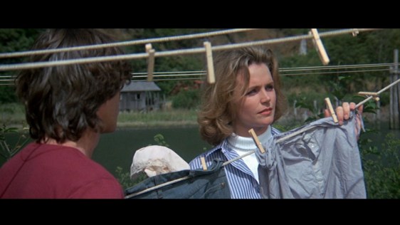 Sometimes a Lee remick