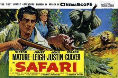 safari