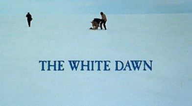 white dawn