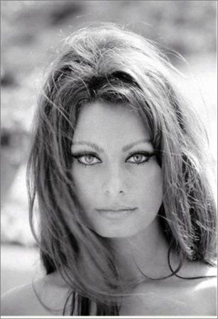 Sophia-Loren-sophia-loren-14908679-437-640