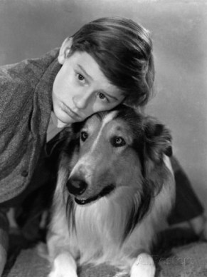 lassie-come-home-roddy-mcdowall-lassie-1943