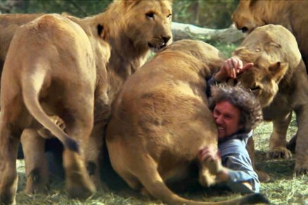 FOR SUNDAY PULSE - FILM STILL CAPTION: ROAR_Tackled: Hank (Noel Marshall) gets tackled by some lions playing around in Drafthouse Films Roar. Courtesy of Drafthouse Films.