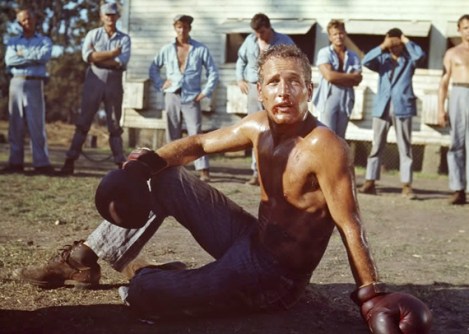 cool hand luke