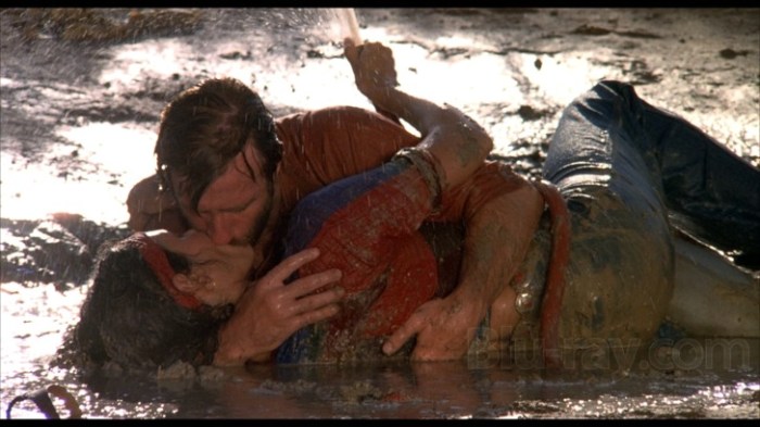 norris and carrera love