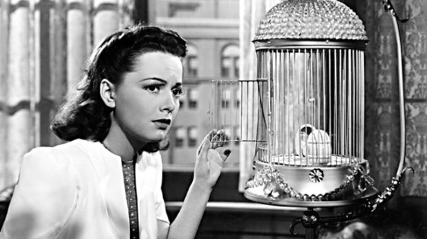 princessorourke1943_678x380_07232013115305