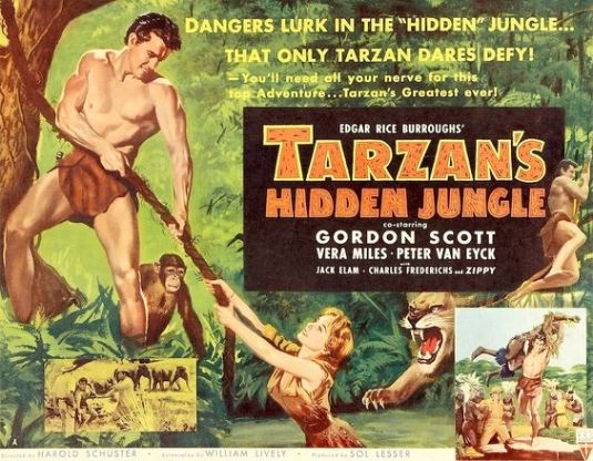 tarzan hidden jungle