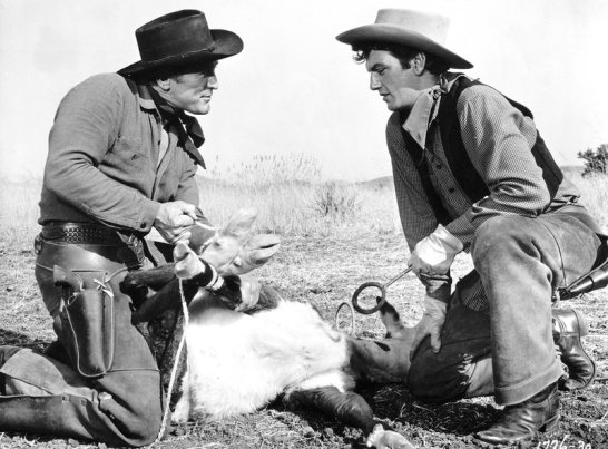 douglas and campbell