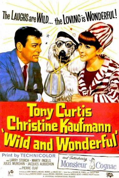 wild and wonderful poster