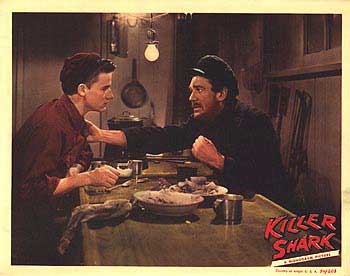 killer shark lobby