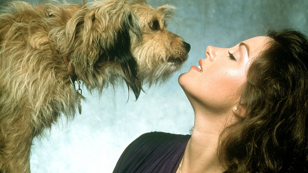 Oh! Heavenly Dog (1980) – Mike's Take On the Movies